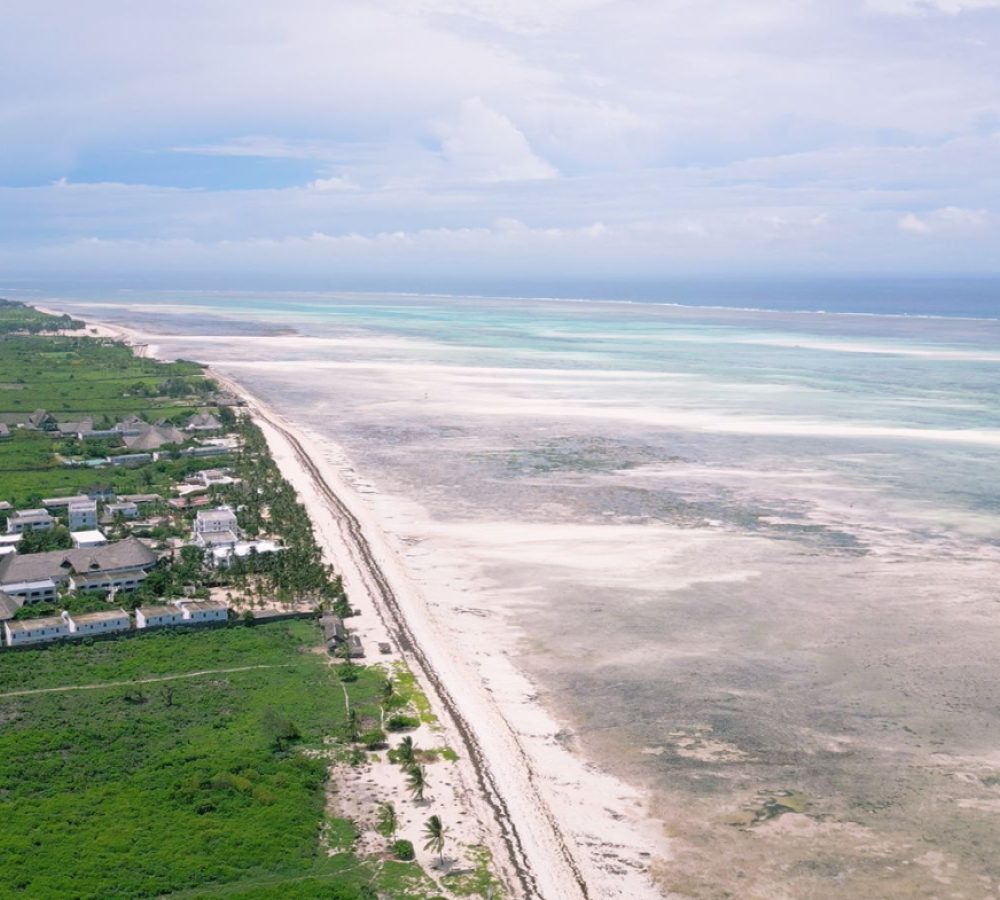 IMG-20240719-WA0093-1170x785